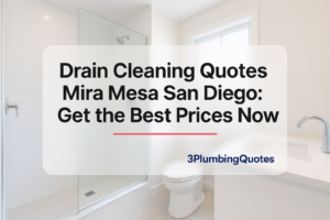 Blog title in bold typography over a modern bathroom image. 3PlumbingQuotes.